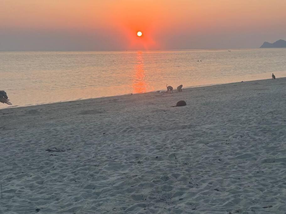 Sunset Serenity Cove Koh Phangan Eksteriør billede